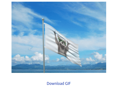 Flag GIF Maker: Design personalizado em 3 etapas