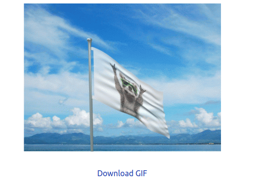 Free & Online Flag GIF Maker: Custom Design in 3 Steps