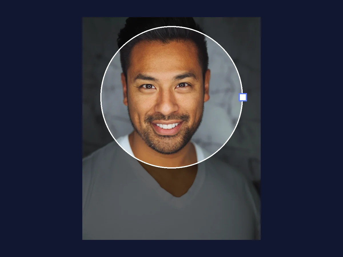 A portrait with a circle drawn around the face and everything outside it dimmed