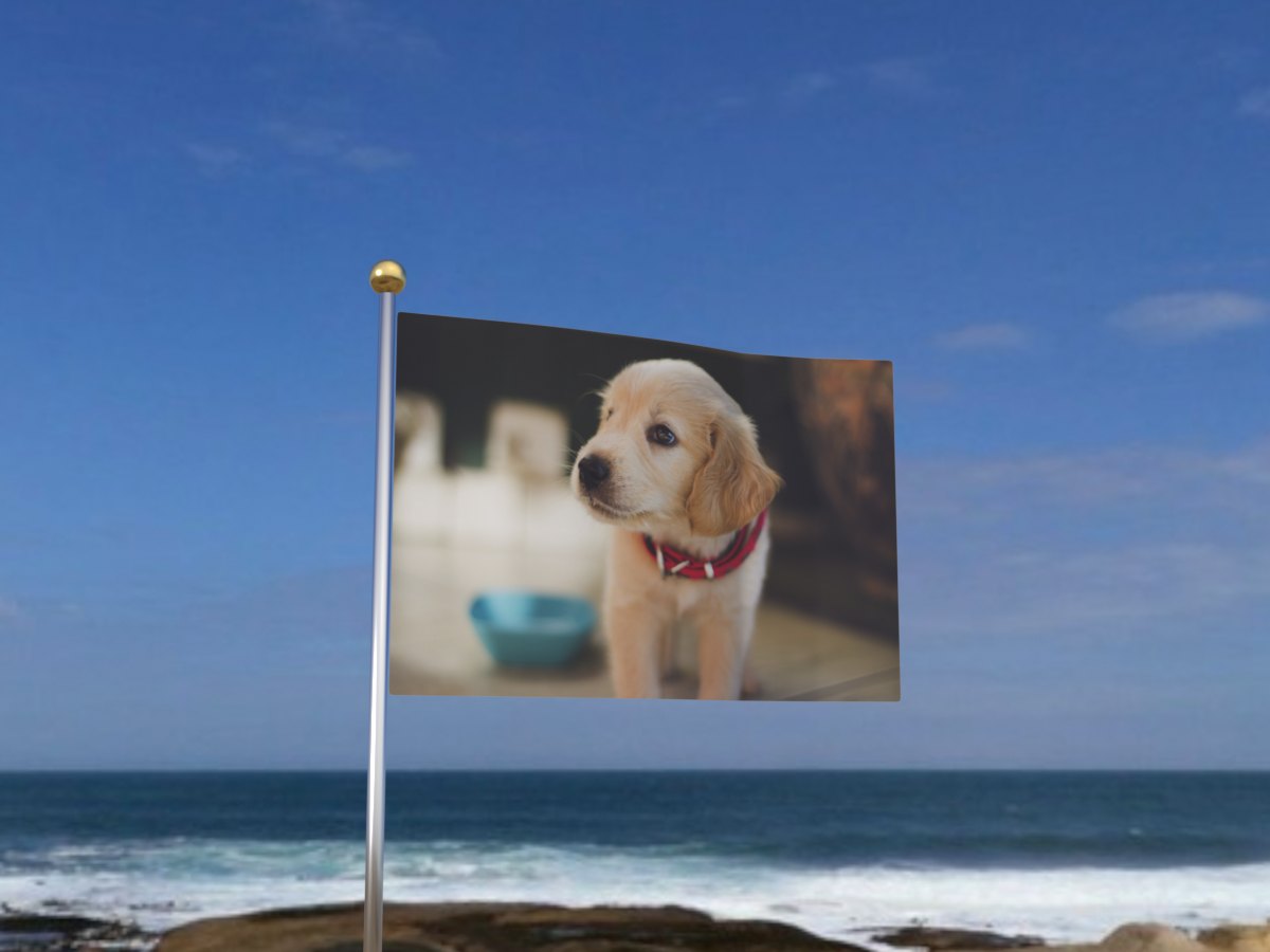 Waving flag GIF with a photo of a golden retriever puppy, flying on a pole by the sea