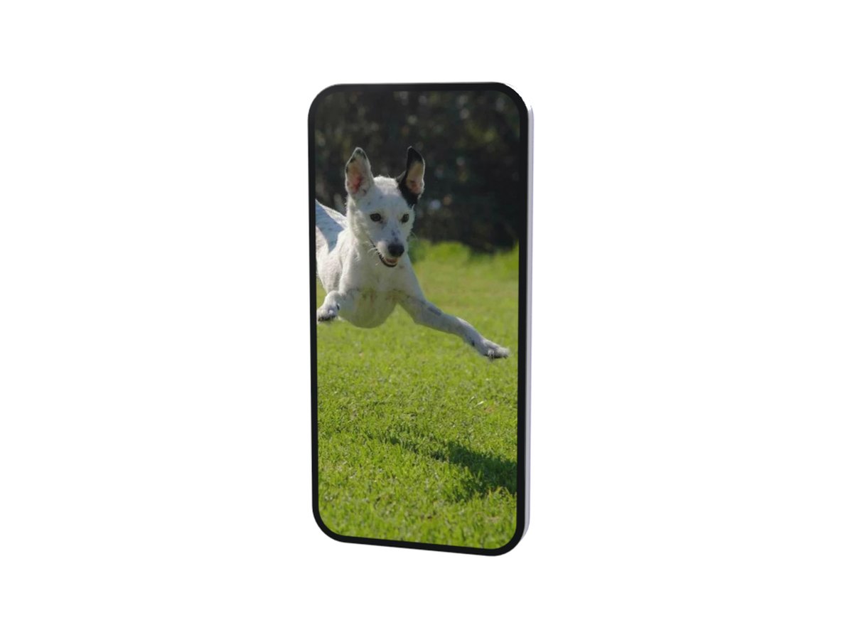 Phone GIF: a smartphone turned to face the camera, its screen showing a white dog leaping over grass