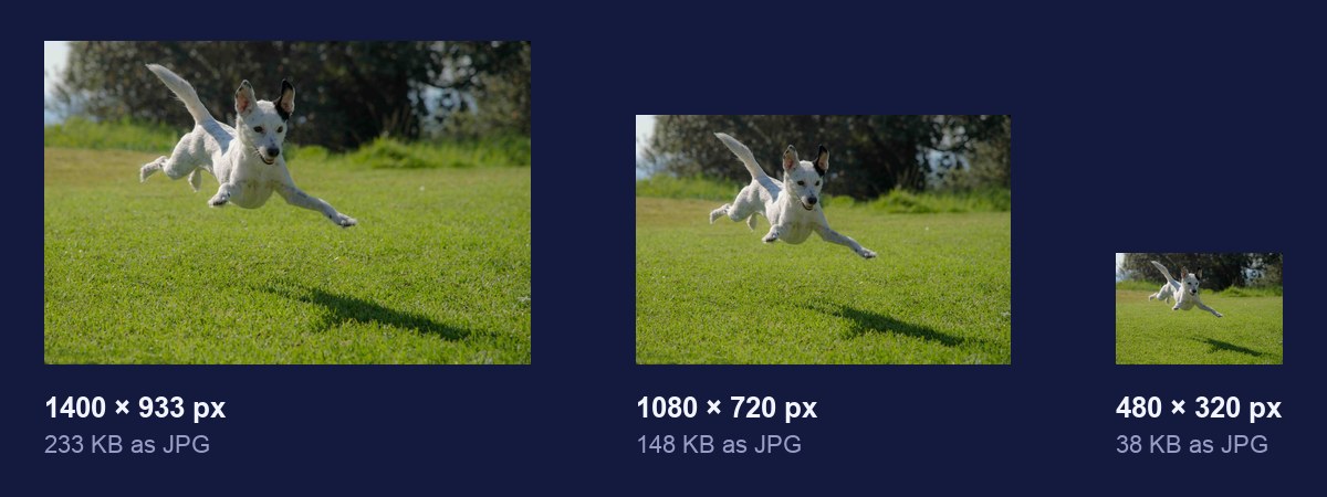 The same photo of a dog at 1400, 1080 and 480 pixels wide, with the file size under each